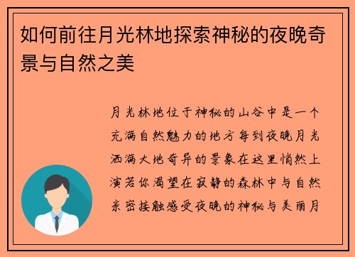 如何前往月光林地探索神秘的夜晚奇景与自然之美